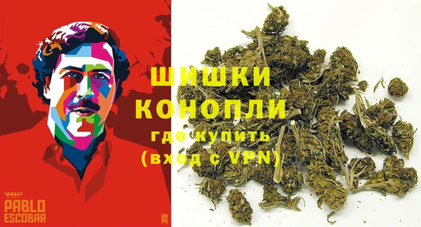 spice Арсеньев