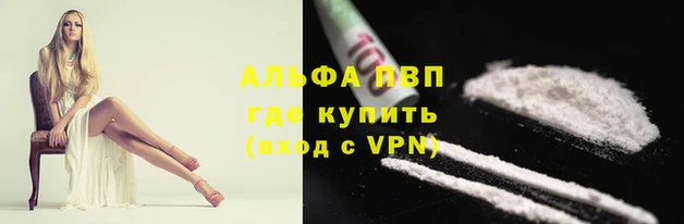 spice Арсеньев