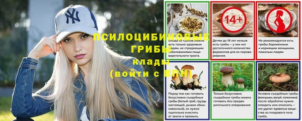 spice Арсеньев