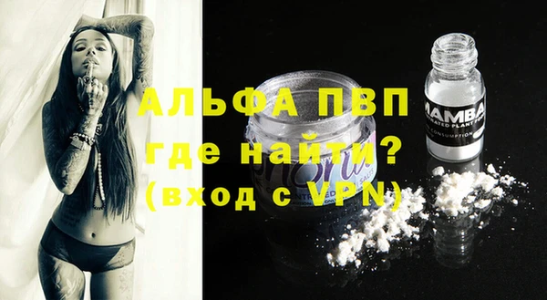 spice Арсеньев